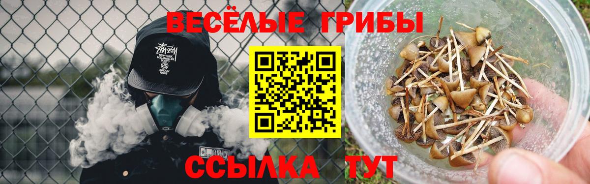 Петрозаводск  что такое   Вход с VPN  Галлюциногенные грибы ЛСД 